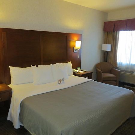 Comfort Inn San Jose International Airport Rom bilde