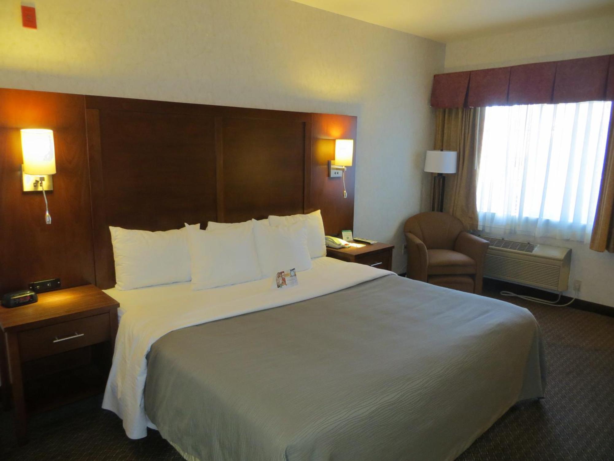 Comfort Inn San Jose International Airport Rom bilde